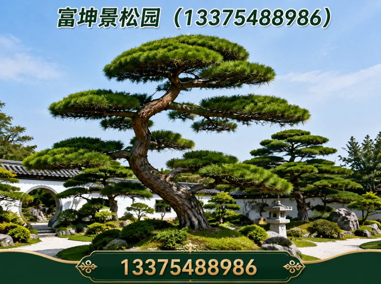 泰山区绿化苗木展示图