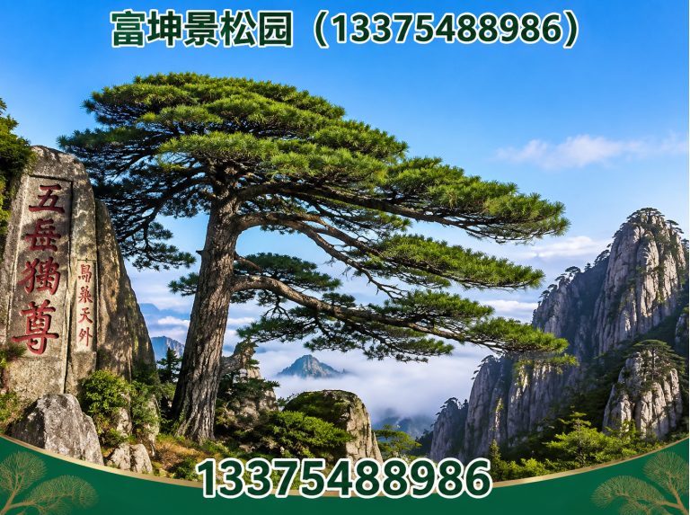 泰山区富坤景松园展示图